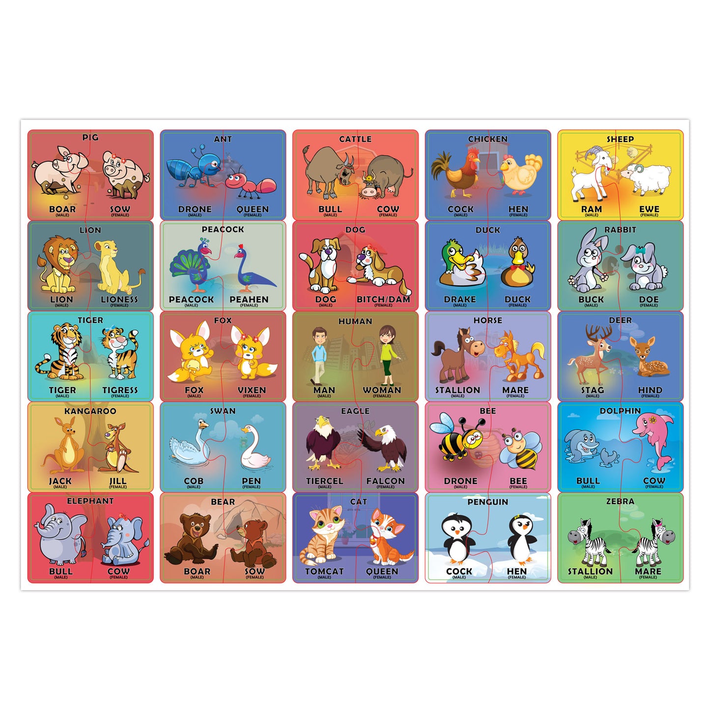 Funskool large size puzzles