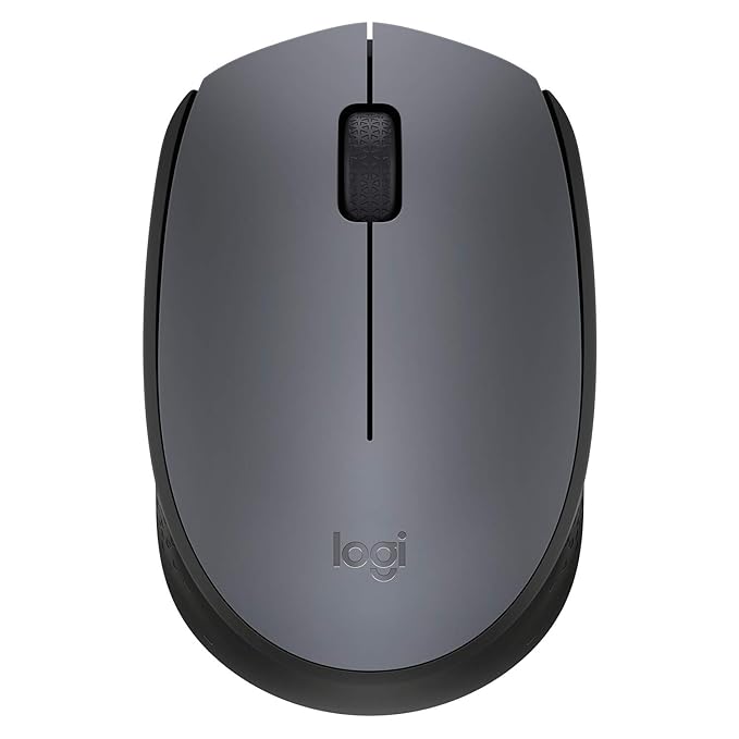 Logitech Wireless Mouse M171