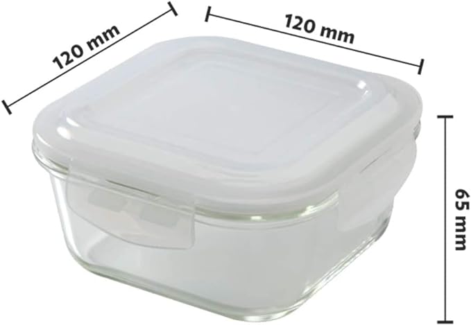 MICROEAVE SAFE FREEZER SAFE lunch box