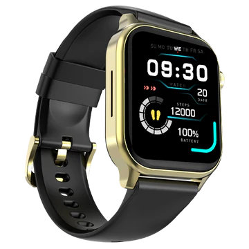 the Fire Boltt Rise Smartwatch Golden  Black
